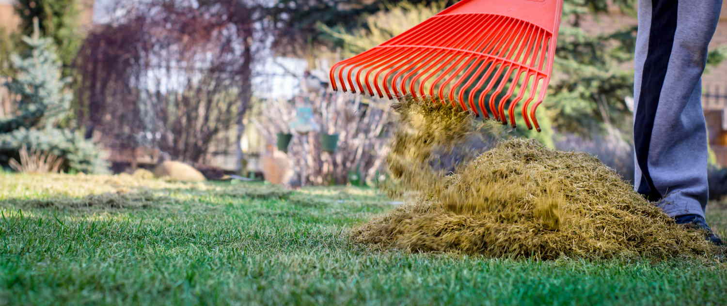 Lawn deals scarifying rake