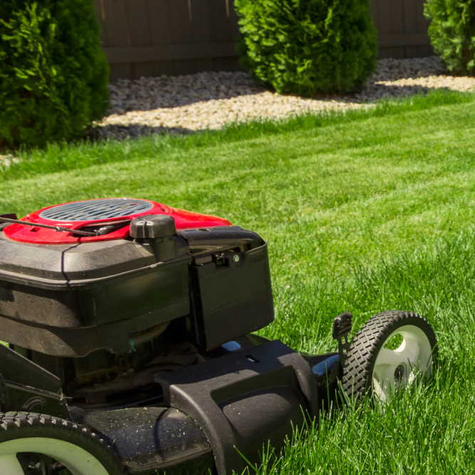 So, how often SHOULD you mow your lawn, exactly?