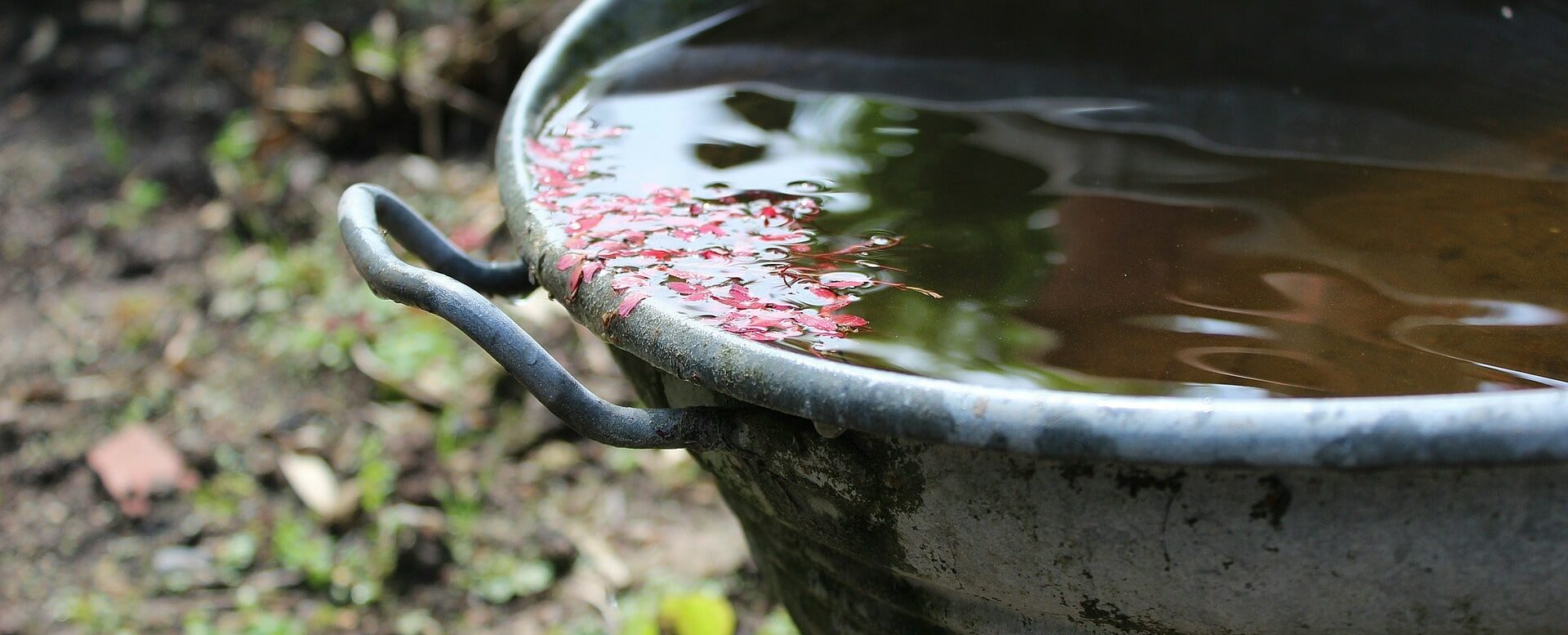 Harvesting and recycling rainwater to feed your lawn