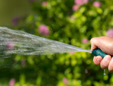Watering with a garden hose