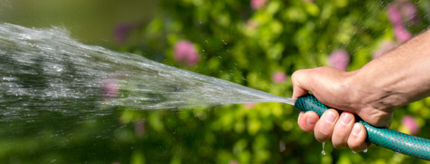 Watering with a garden hose