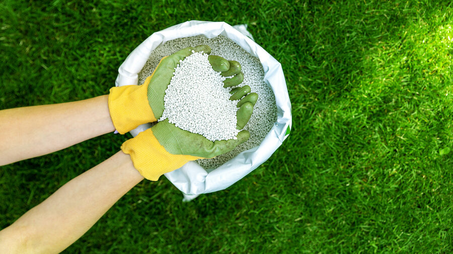 A handful of granulated fertiliser