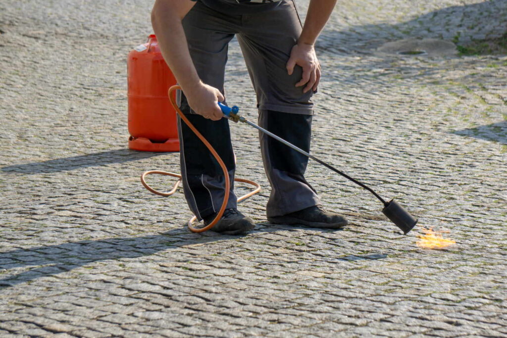 Fighting weeds with a gas burner