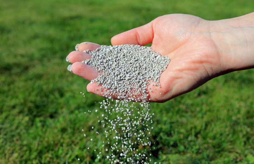 Spreading the lawn feed granulate by hand