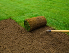 Gardener applying turf rolls in the backyard