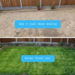 A customer garden before and after Spring Boost Lawn Fertiliser
