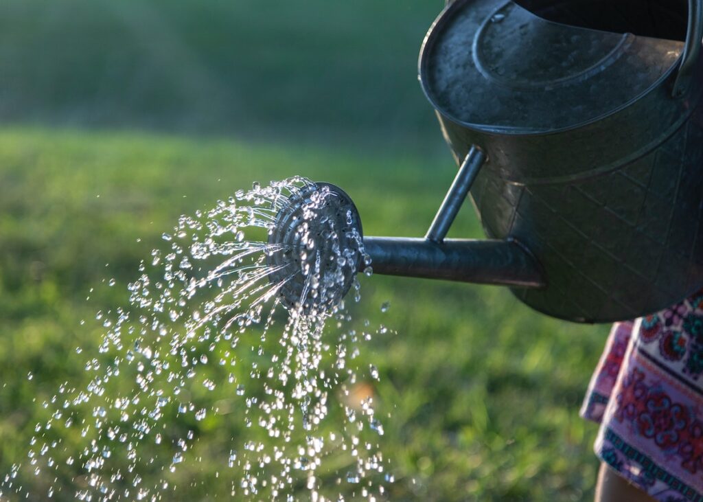 A watering can, pouring water in a garden