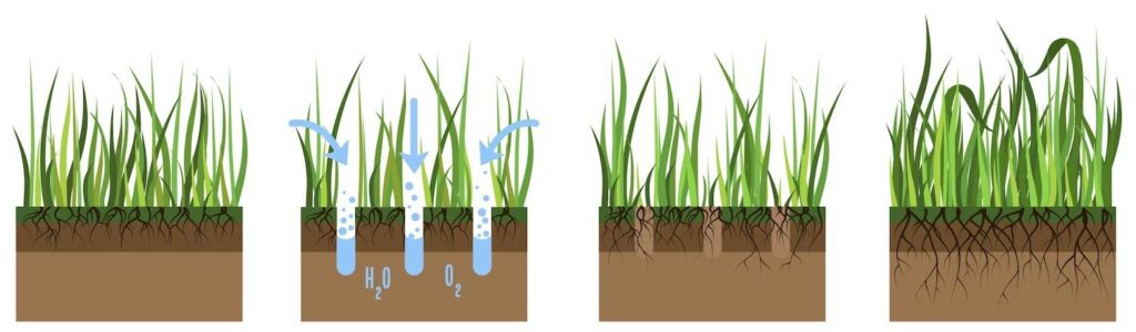 Aeration of the lawn illustration