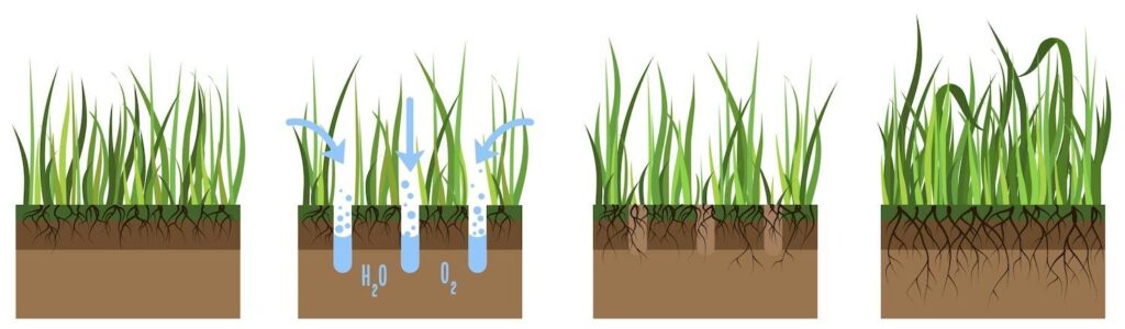 Illustration de l'aération de la pelouse