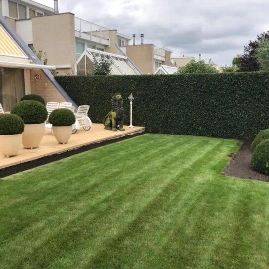 A garden with All-Round Lawn Fertiliser