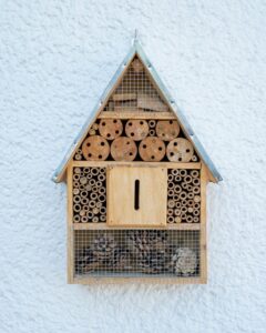 bee hotel