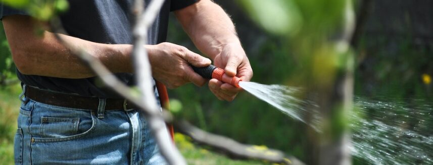 A man watering the garden with a garden stroke