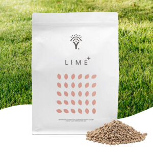 Front image of the Lawn Lime lawn feed product pouch with lawn feed in front of the pouch