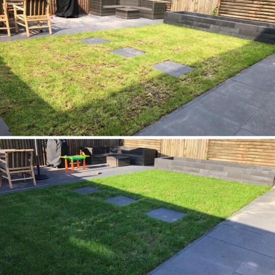 A garden that used the Dry Lawn Restore Kit