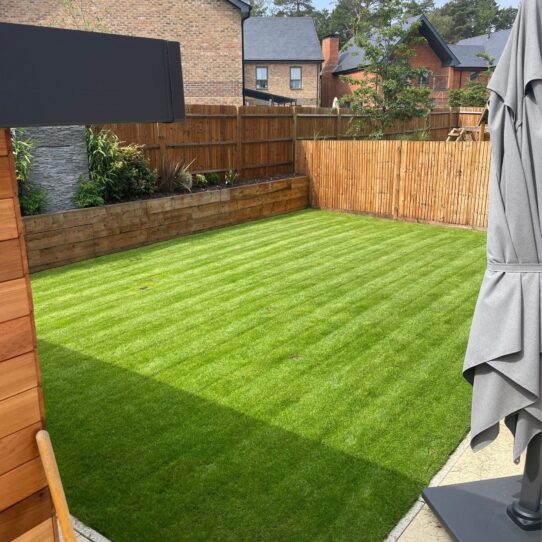 A garden with Lawn Starter Fertiliser