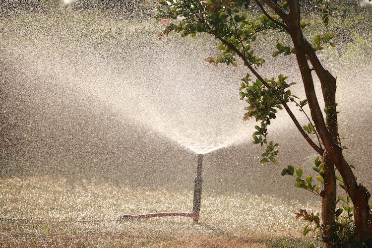 watering the lawn with a watering system in summer