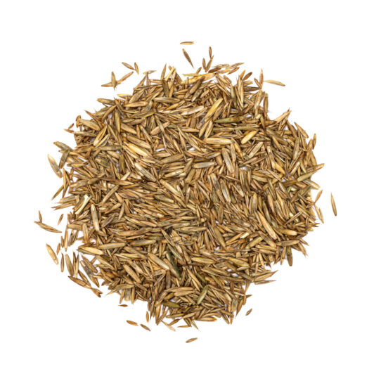 Pile of grass seeds