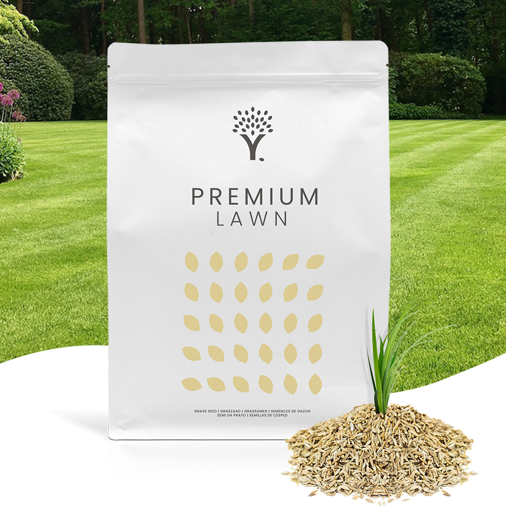 Premium Lawn Grass Seed