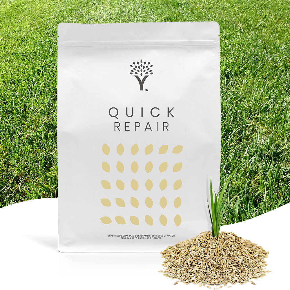 Quick Repair Grass Seed