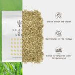 3 reasons for MOOWY Shade & Sun grass seed