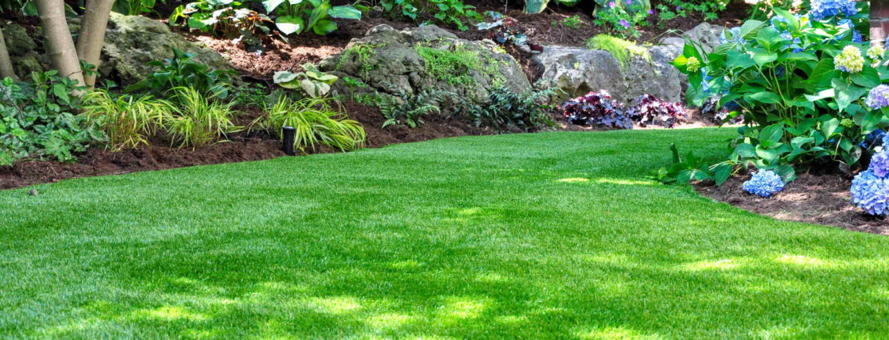 Shaded garden with a green lawn