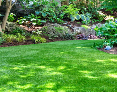 Shaded garden with a green lawn