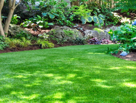 Shaded garden with a green lawn