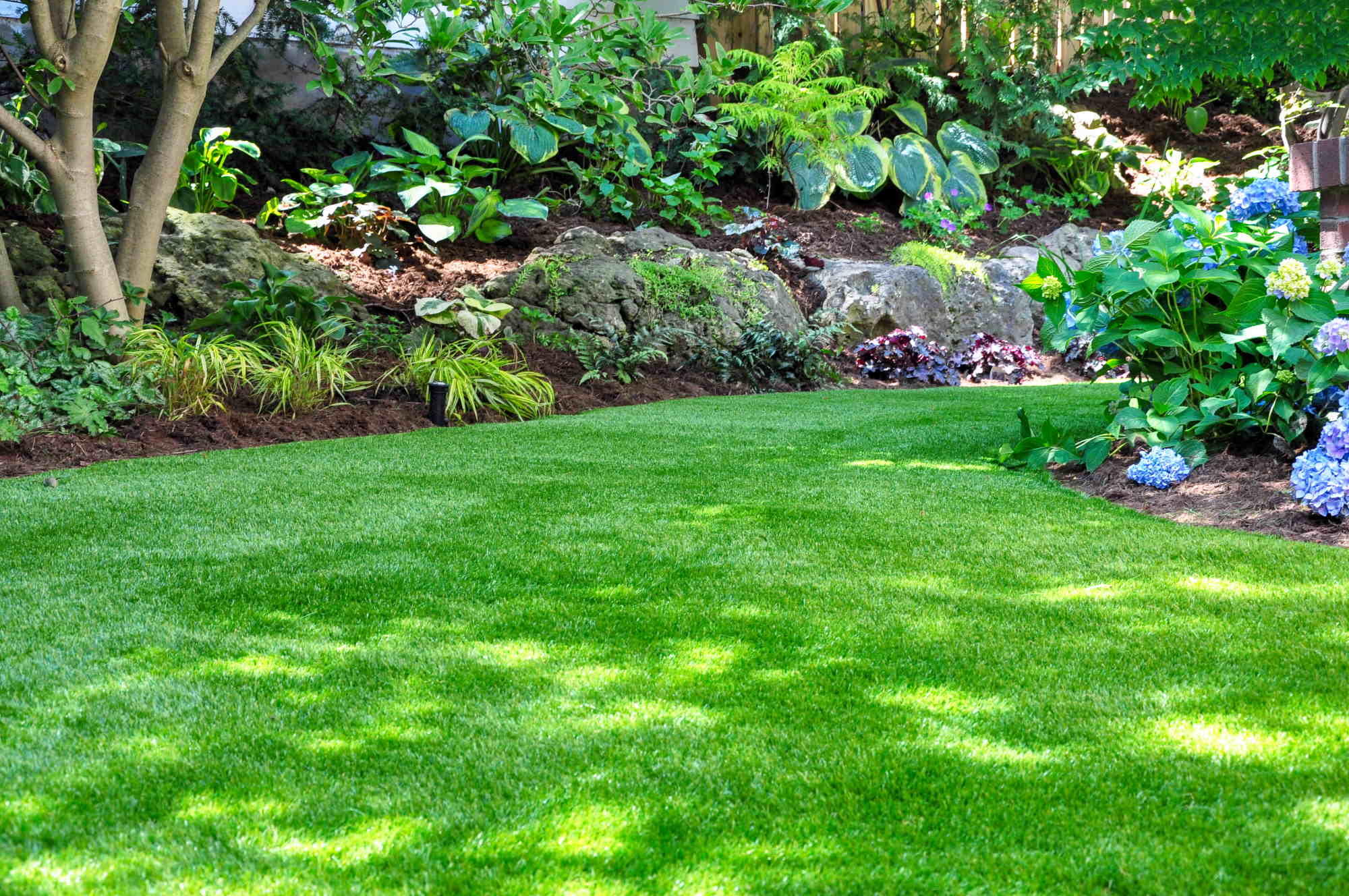 How to Improve Your Lawn in a Shaded Garden | Complete Guide