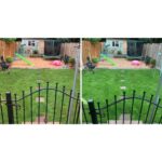 A garden with Sport & Fun Grass Seed