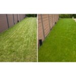 A garden with Sport & Fun Grass Seed