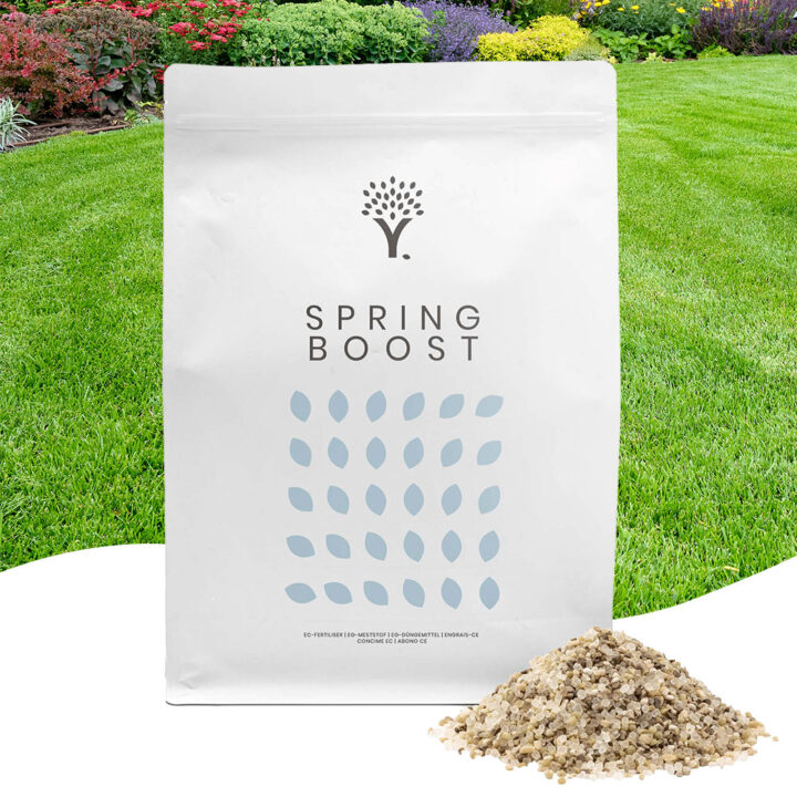 Front image of the Spring Boost Lawn Fertiliser lawn feed product pouch with lawn feed in front of the pouch