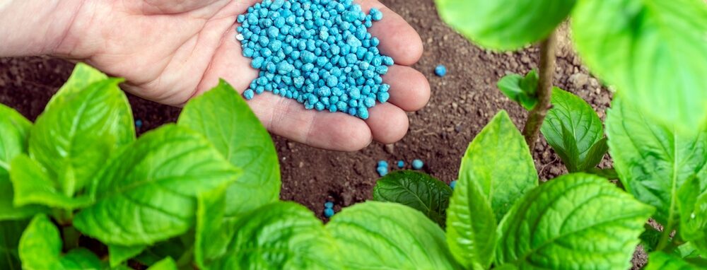 npk fertiliser