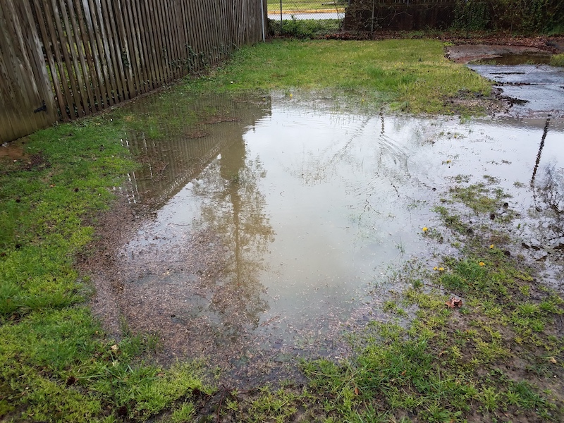 Large Puddle on Lawn