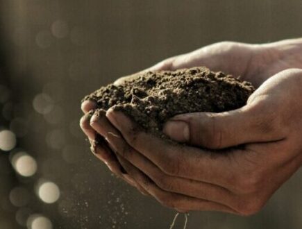 Lawn soil in pair of hands