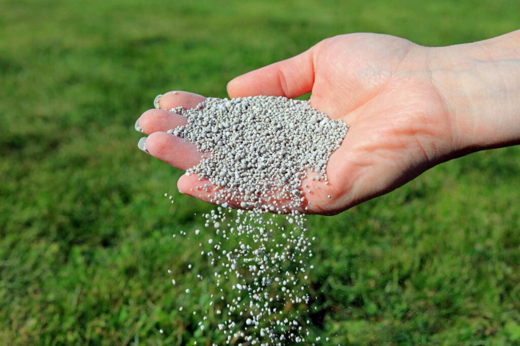 Fertiliser in hand