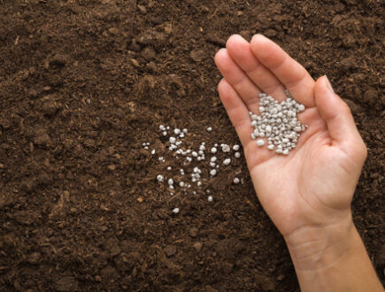 Applying fertiliser to the soil