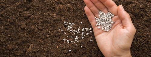 Applying fertiliser to the soil
