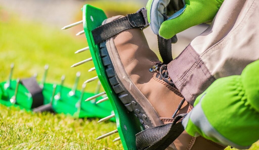 lawn aerator shoes with spikes on a lawn