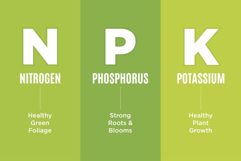 Illustration of the definition of NPK nutrients
