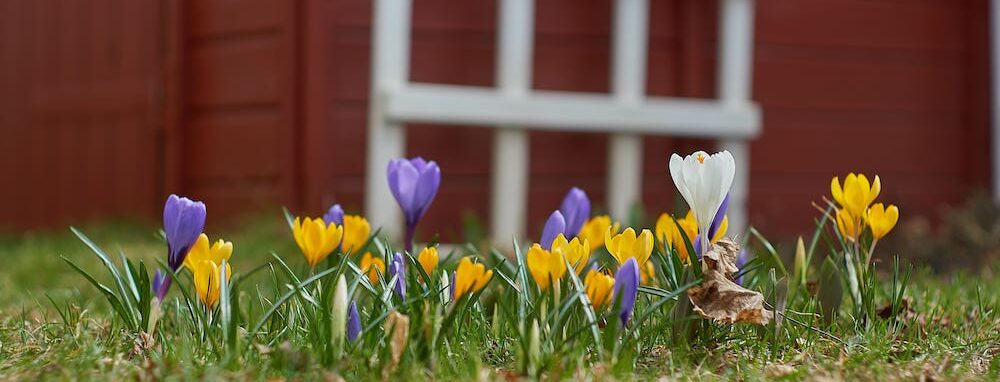 Lawn care tasks in spring