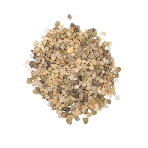 How to get rid of moss THE Lawn Moss Killer Guide of 2021 Moowy UK