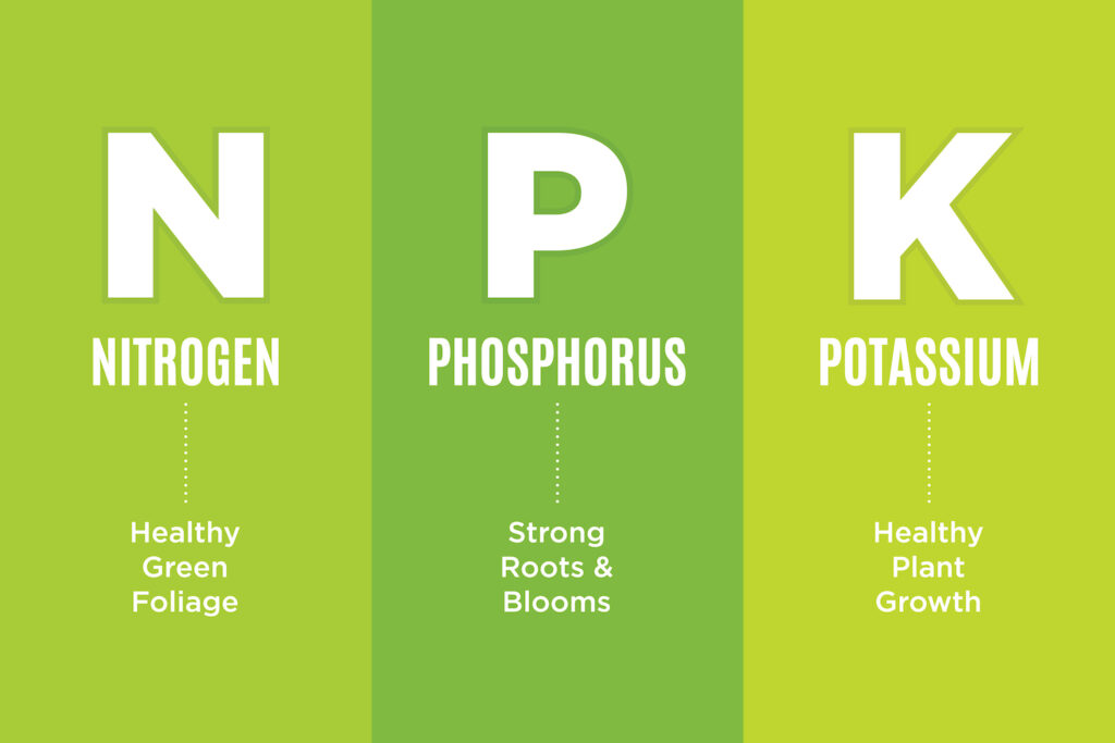 NPK chart explaining what each compound does for a plant