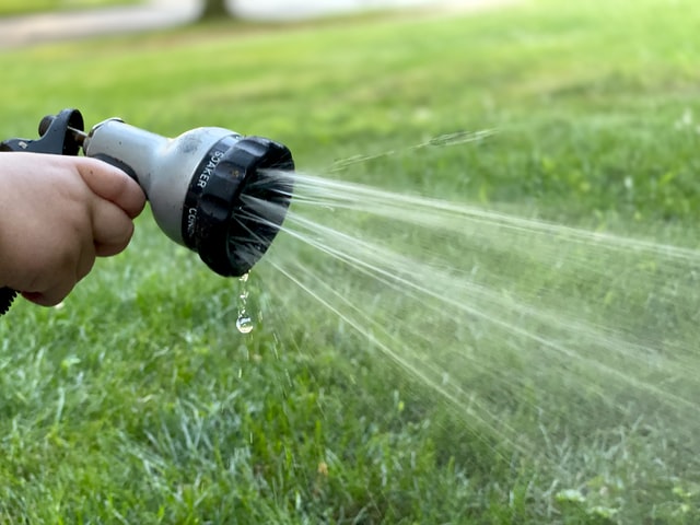 Hose pipe spraying water on lawn