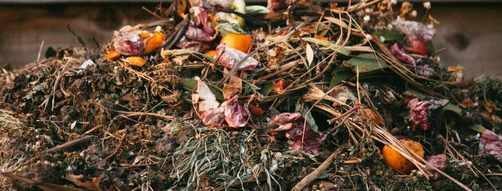 Garden waste piled up