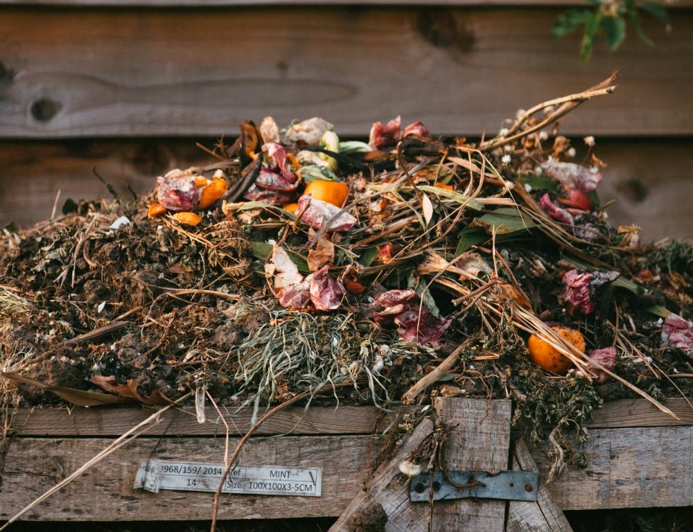 How to get rid of garden waste: make compost!