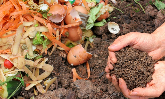 compost and hands