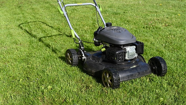 Petrol lawn mower on grass