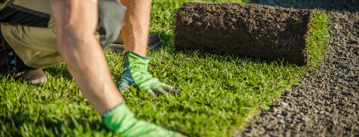 Laying turf by hand