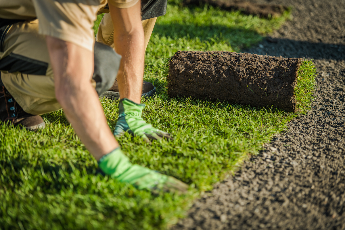 How to Lay Turf – complete 8-step guide 
