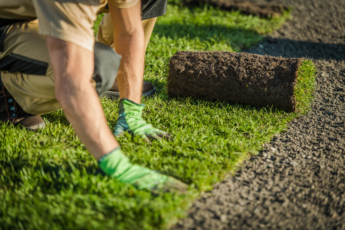 Grass laying outlet